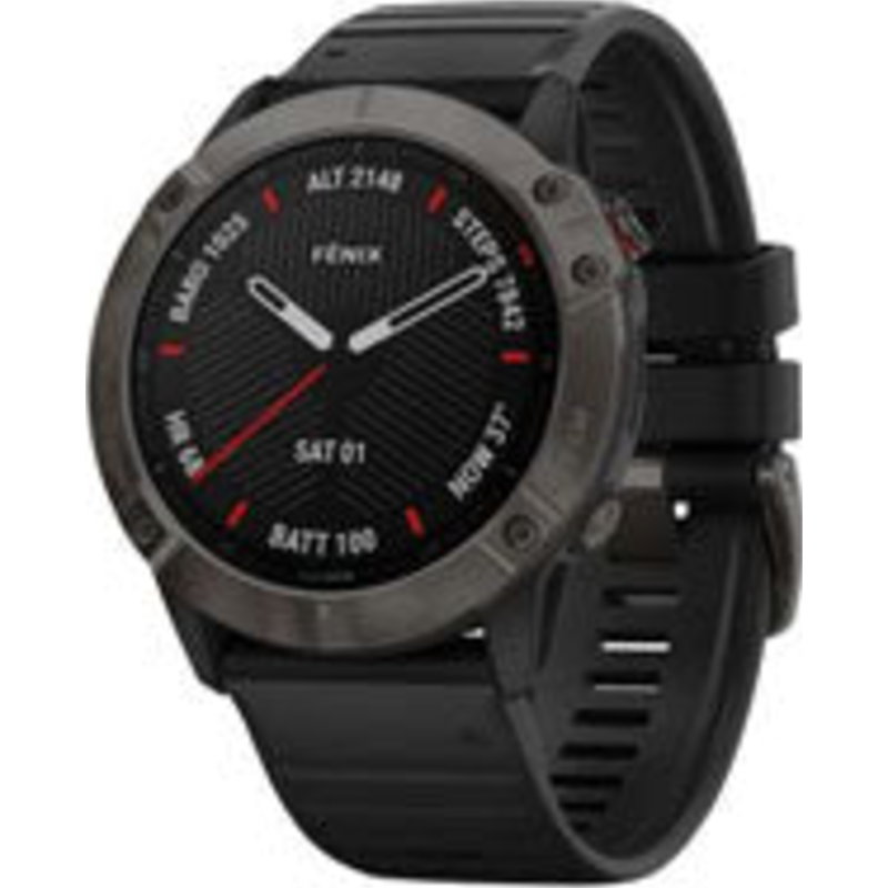 Fenix 6