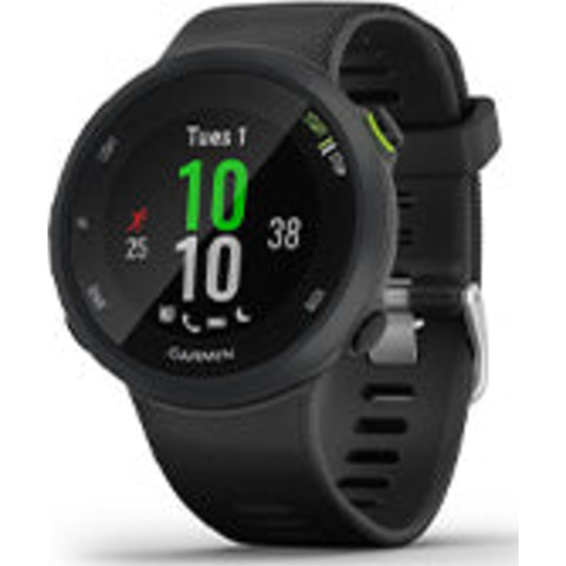 Forerunner 45